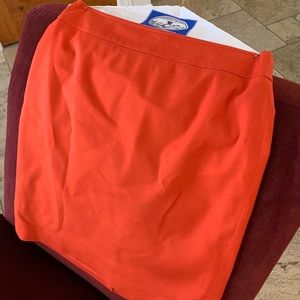 Ann Taylor Pencil Skirt